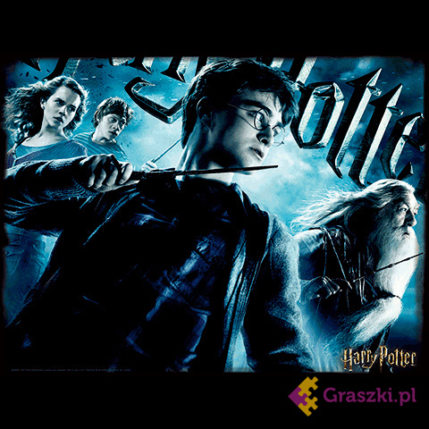 Harry Potter: Magiczne puzzle - Harry (500 elementów) harry Harry Potter: Magiczne puzzle - Harry (500 elementów) harry