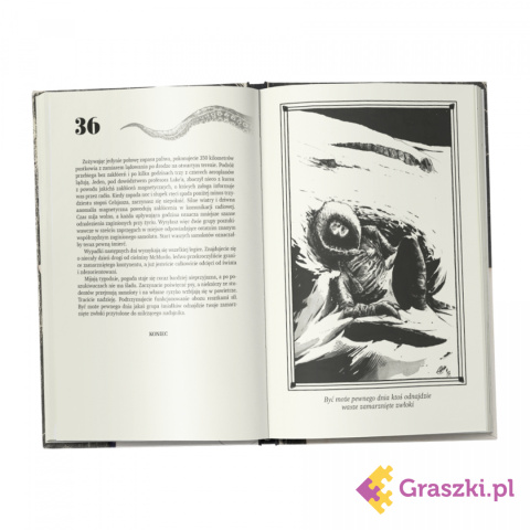 Choose Cthulhu 2 - W Górach Szaleństwa zawartość 2 Choose Cthulhu 2 - W Górach Szaleństwa zawartość 2