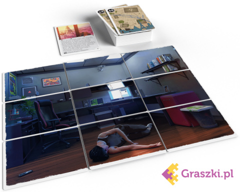 Crime Zoom: Ptaki złej wróżby gra Crime Zoom: Ptaki złej wróżby gra