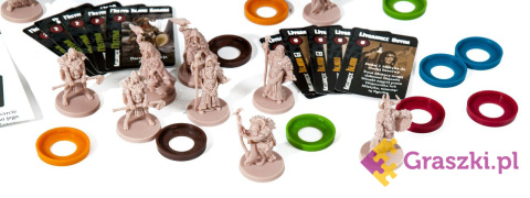 Blood Rage Mistycy z Midgardu zawartość Blood Rage Mistycy z Midgardu zawartość