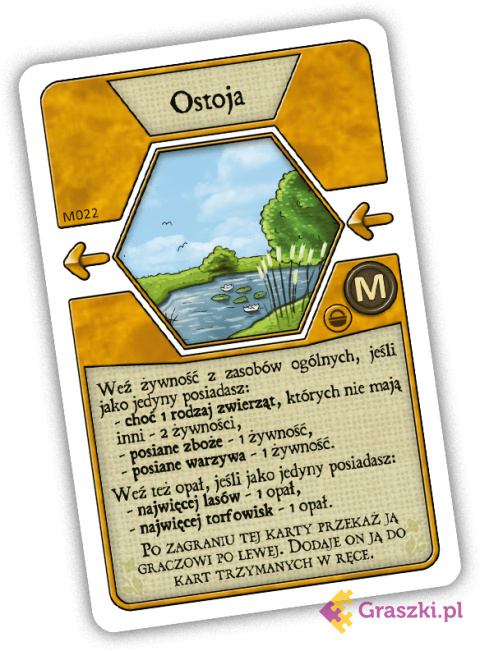 Agricola: Torfowisko kart 3 Agricola: Torfowisko kart 3