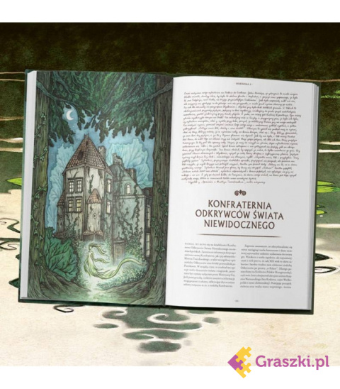 Vaesen. Mityczne istoty grafika Vaesen. Mityczne istoty grafika