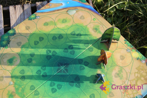 Fotosynteza gra planszowa plansza Fotosynteza gra planszowa plansza