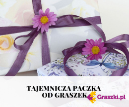 53. Tajemnicza Paczka