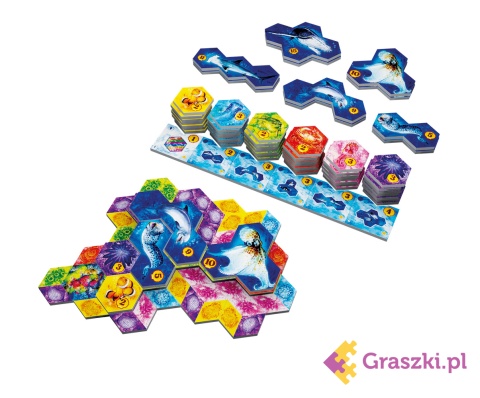 Aqua zanczniki