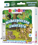 BrainBox: Pocket - Niebezpieczne zwierzęta