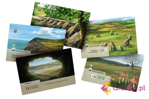 Leśne rozdanie: Dartmoor - Exmoor karty