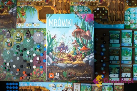 Mrówki gra planszowa