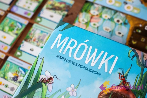 Mrówki opakowanie