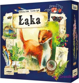 Łąka