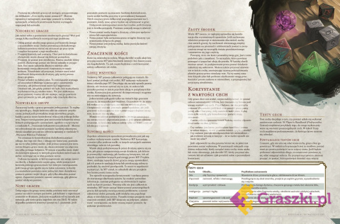 Dungeons & Dragons: Przewodnik Mistrza Podziemi tekst Dungeons & Dragons: Przewodnik Mistrza Podziemi tekst