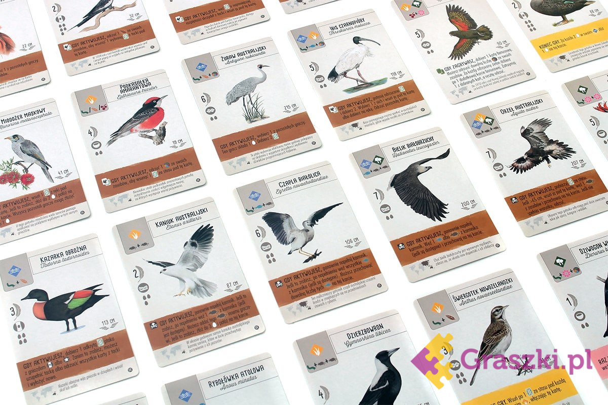 Na skrzydłach: Ptaki Oceanii karty3